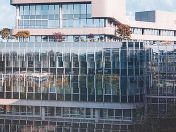 SplitImage 1739894372