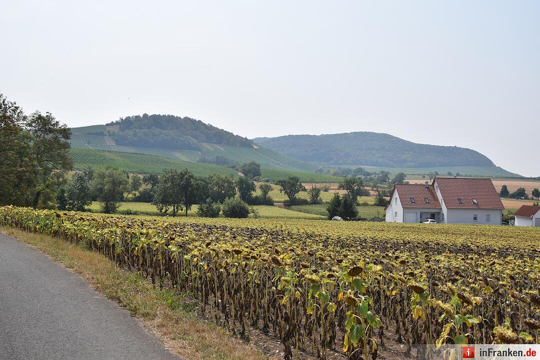 Bergwerk in Hüttenheim