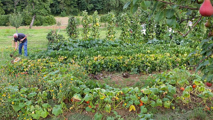 Im Garten muss auf die Artenvielfalt geachtet werden. Foto: Barbara Herbst