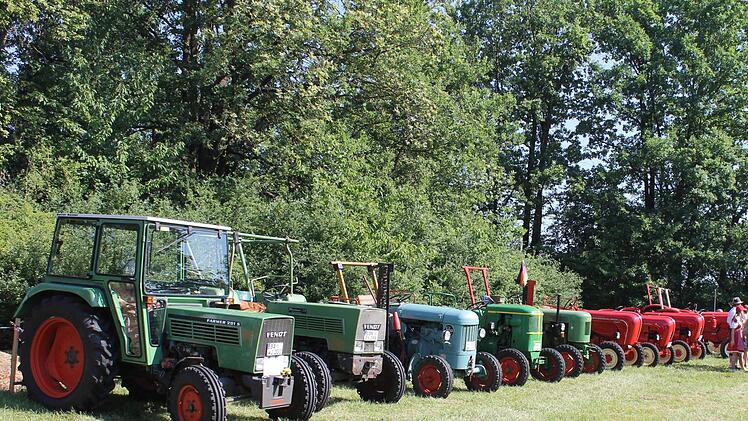 In Reih und Glied standen am Sonntag die Oldtimertraktoren auf dem Festplatz. Foto: Janina Reuter