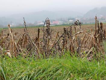 Auf dem Acker bei Zell (im Hintergrund) nahe der Autobahn k&ouml;nnte das neue Tierheim f&uuml;r den Landkreis Ha&szlig;berge entstehen. Foto: Andreas L&ouml;sch