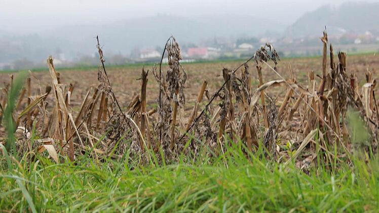 Auf dem Acker bei Zell (im Hintergrund) nahe der Autobahn k&ouml;nnte das neue Tierheim f&uuml;r den Landkreis Ha&szlig;berge entstehen. Foto: Andreas L&ouml;sch