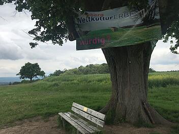 Viele kennen den Rothofhügel mit seiner großen Linde von Ausflügen und Spaziergängen. Wo früher ein barocker Gutshof stand, wollen die Stadtwerke einen neuen Hochbehälter bauen. Kritiker des Vorhabens fürchten um die Unversehrtheit der Kulturlandschaft.  M. Wehner