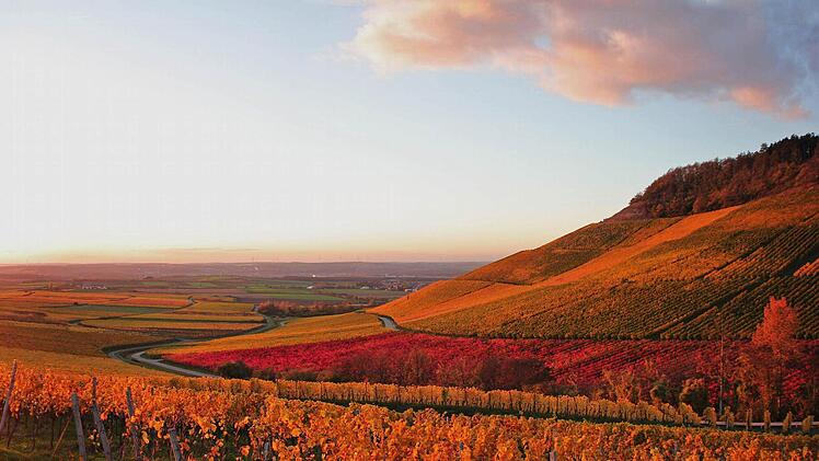 Foto: Stefan Preller, Ort: Weinberge bei Iphofen