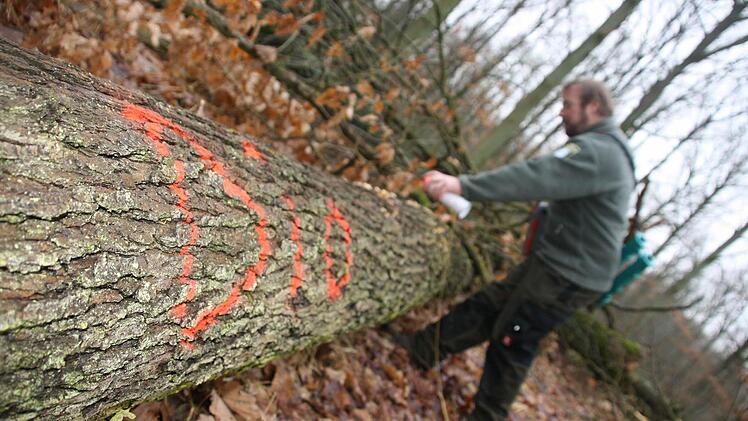Bitte liegen lassen: Biobäume sind für Holzwerber tabu.
