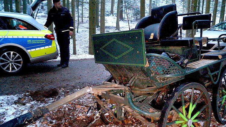 Zum Wochenstart starb nun der 85-jährige Fahrer der Kutsche im Krankenhaus.  Foto: SDMG/Haslinger/dpa