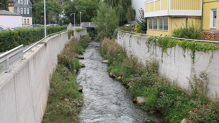 Der erste Bauabschnitt zwischen der Lauter-Mündung in die Itz und der Heilig-Kreuz-Schule. Foto: Ulrike Nauer