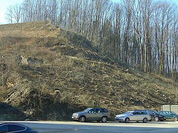 Diesen Hügel am Gräfenberger Steinbruch möchte Endreß abtragen. Foto: Petra Malbrich