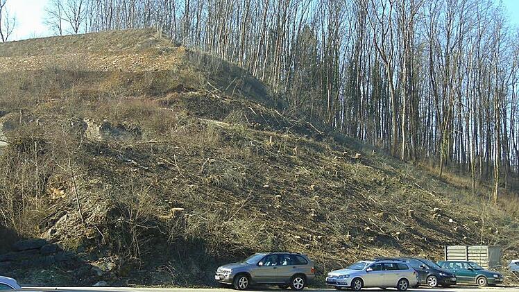 Diesen Hügel am Gräfenberger Steinbruch möchte Endreß abtragen. Foto: Petra Malbrich