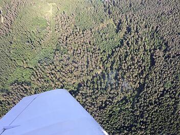 Leichter Rauch steigt aus dem Wald auf. Beim aktuellen Wetter Anlass für einen Großalarm. Wenig später brannten hier bei Michelau im Landkreis Lichtenfels. 1000 Quadratmeter Wald. Die sofort alarmierten Feuerwehren verhinderten die weitere Ausbreitung. Foto: Lrst Bamberg