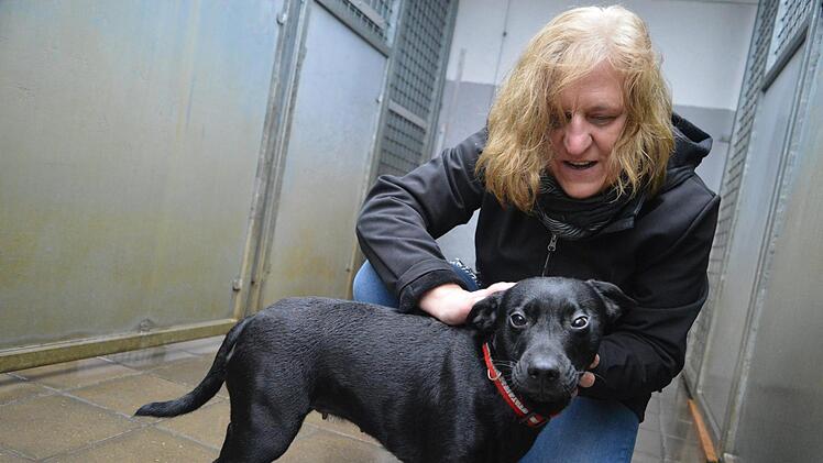 Hund Abby (Patterdale Terrier,weiblich, geboren 2015)  mit Pflegerin Alexandra Pfeufer Foto: Ronald Heck