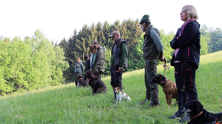 Die Jäger stellen den Schülern die verschiedenen Hunderassen und deren Spezialisierung vor.