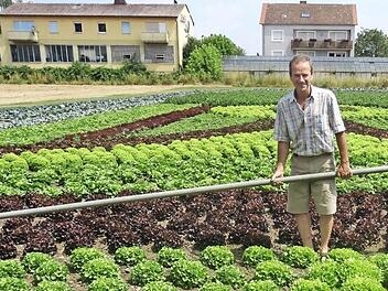Mit äußerster Präzision verlegt Hans Hummel die Rohre zum Gießen der Salatblume - damit ja kein Pflänzchen bis zum kommenden Sonntag verdorrt. Fotos: es