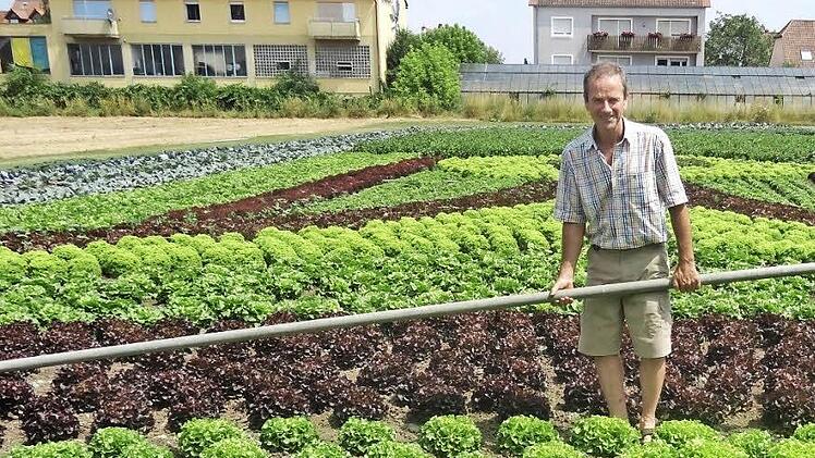 Mit äußerster Präzision verlegt Hans Hummel die Rohre zum Gießen der Salatblume - damit ja kein Pflänzchen bis zum kommenden Sonntag verdorrt. Fotos: es