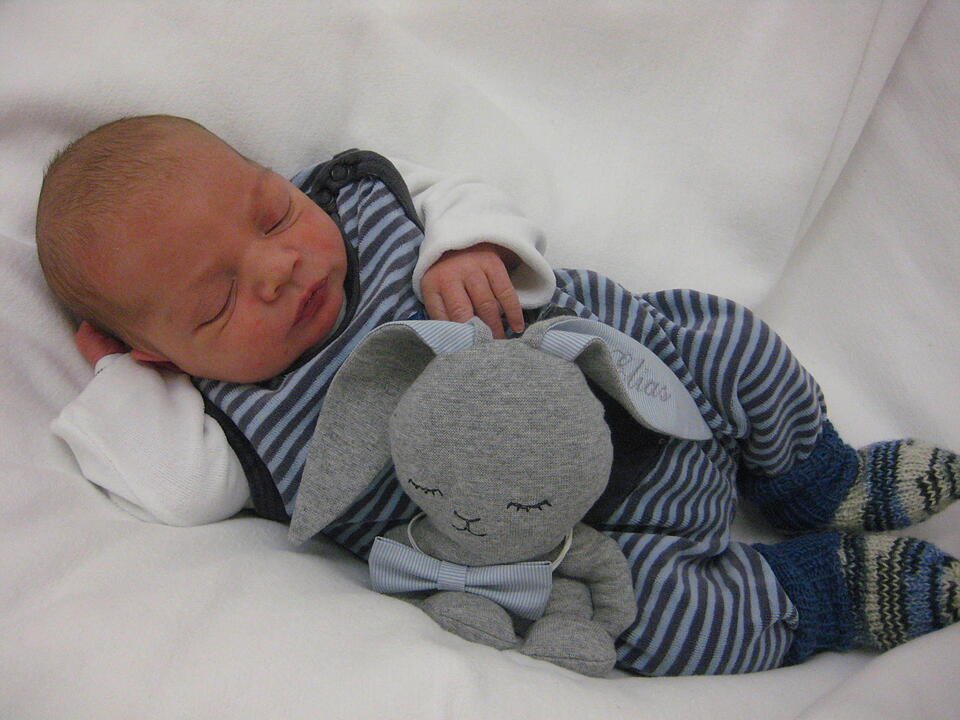 Babygalerie 338