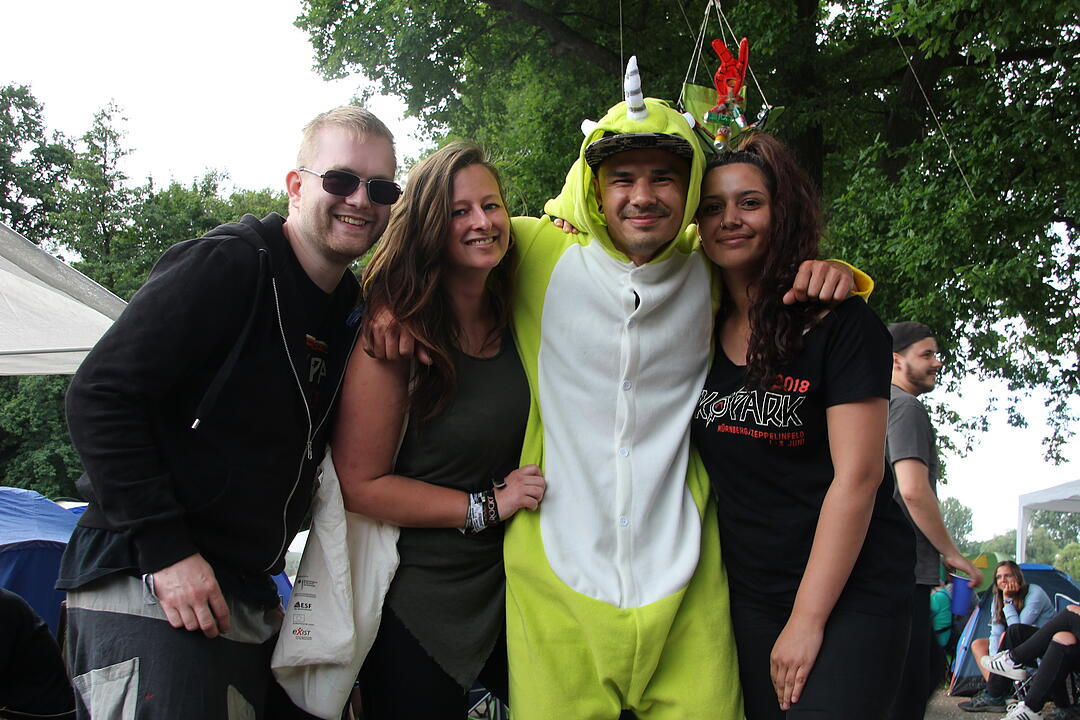 Die Besucher bei Rock im Park 2018 am Freitagnachmittag