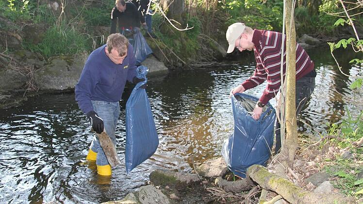 Die Junge Union Stadtsteinach säubert den Bach.