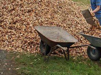 Baumrinde ist als Dünger im Garten nur in bestimmten Situationen einzusetzen. Foto: Archiv