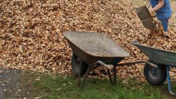 Baumrinde ist als Dünger im Garten nur in bestimmten Situationen einzusetzen. Foto: Archiv