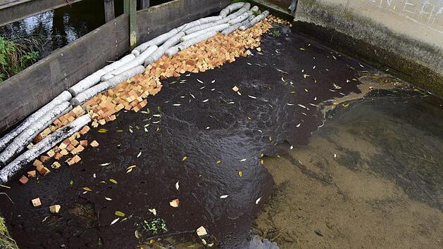 Mit den Ölsperren wollen Feuerwehr und THW eine Ausbreitung der Verschmutzung verhindern.  Foto: Petra Malbrich