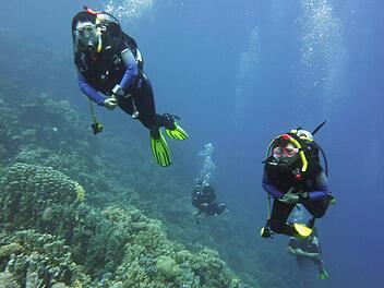 Die Taucher des ESC Höchstadt fühlen sich auch im Roten Meer wohl. Fotos: privat