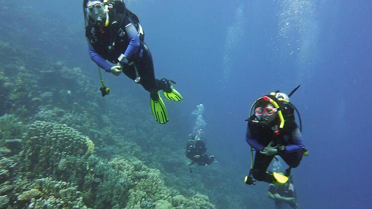 Die Taucher des ESC Höchstadt fühlen sich auch im Roten Meer wohl. Fotos: privat