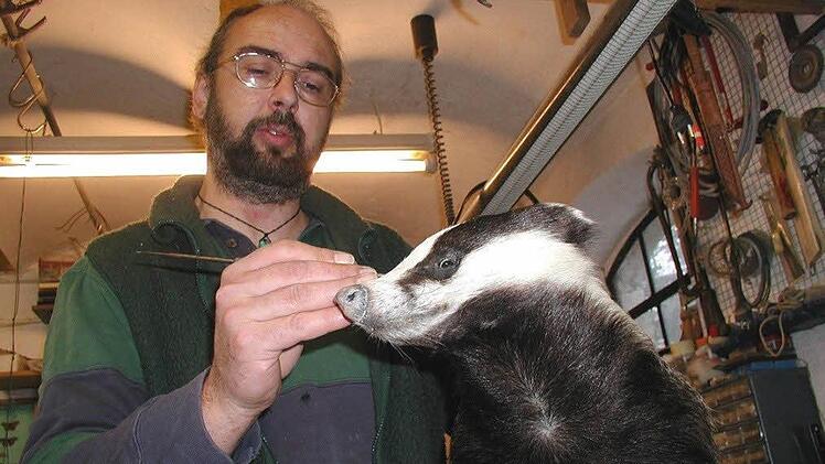 Hier kümmert sich Klaus Höra um die letzte Feinarbeit an einem Dachs. Der elfjährige Lucca hilft schon mal mit, wenn sein Vater Klaus Tiere präpariert. Überall im Haus, wie hier auf dem Treppenaufgang, blicken einen Tiere an. Foto: Helmut Will