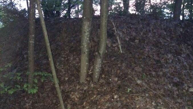 In dieser selbstgegrabenen Erdbehausung im Landkreis Lichtenfels hielt sich ein Reichsb&uuml;rger mit seinen zwei minderj&auml;hrigen Kindern vor der Polizei versteckt - vermutlich seit November 2018. Foto: Polizei