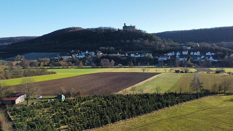 Christian Reuschs Christbaum-Plantage mit der Trimburg im Hintergrund.
