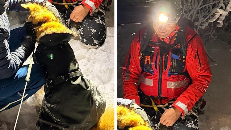 Bayern: Hund st&uuml;rzt bei Skitour ab &ndash; Lawinengefahr macht Rettung schwierig