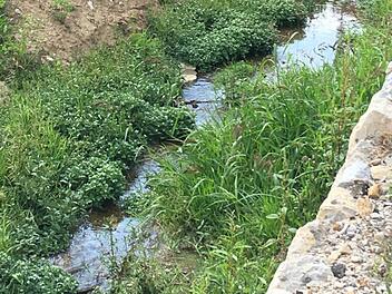 Der Weilersbach Foto: Max Brust