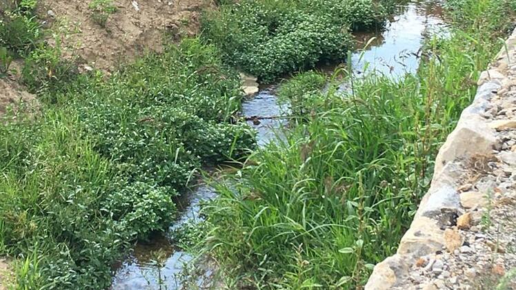 Der Weilersbach Foto: Max Brust