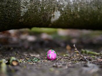 Baum umgest&uuml;rzt - Drei Tote bei Flensburg