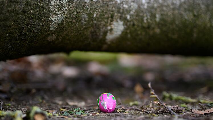 Baum umgest&uuml;rzt - Drei Tote bei Flensburg