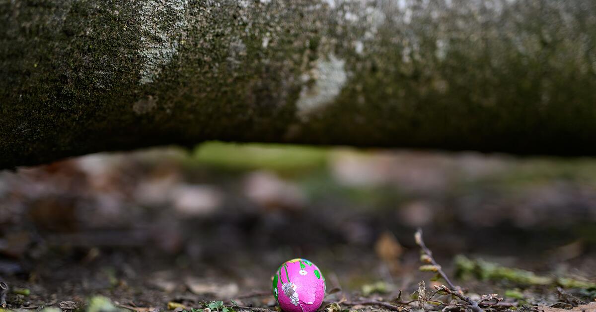 Mittelangeln: Mother, teenager, and infant die during Easter egg hunt