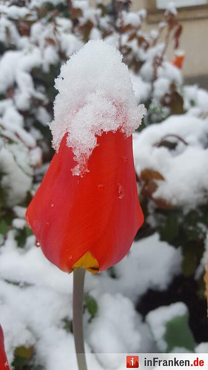 Franken: Ostermontag versinkt im Schnee