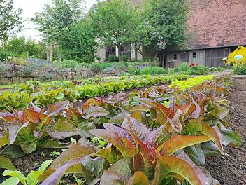 Bamberg: Neue Perspektiven im Garten des Bauernmuseums - Führung findet am Sonntag statt