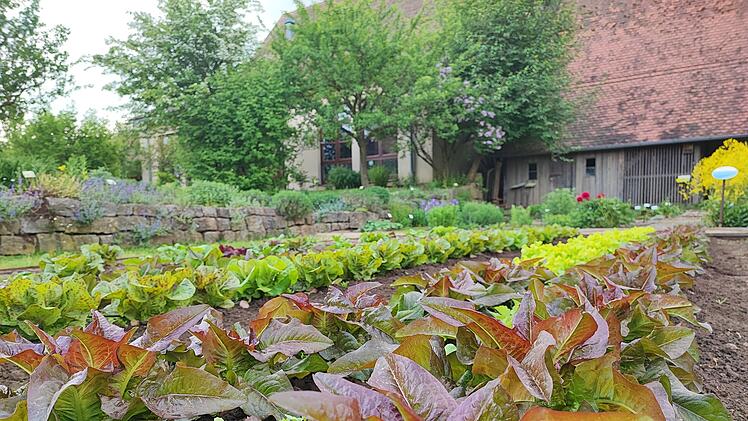 Bamberg: Neue Perspektiven im Garten des Bauernmuseums - F&uuml;hrung findet am Sonntag statt