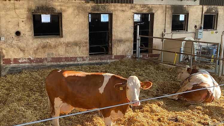Landwirte ächzten unter steigenden Energie- und Rohstoffpreisen