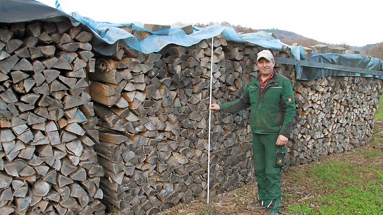 Stefan Ellner schlichtet das Holz immer auf, damit er das Brennholz von dem großen Stapel auch als einzelnen Ster verkaufen kann. Fotos: Lisa Kieslinger