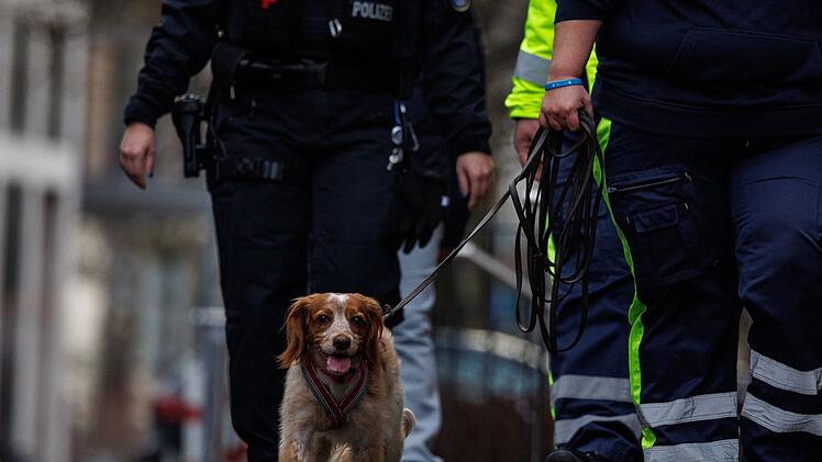 Vermisster Junge in Frankfurt