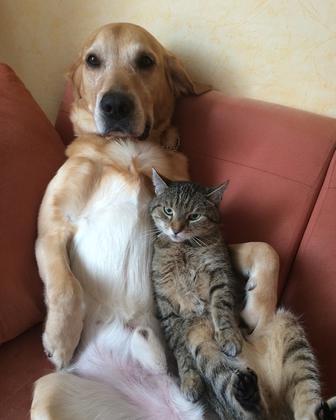 Foto: Sandra-les-fideles