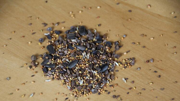 Aus dieser Saatmischung wachsen sp&auml;ter einmal Kornblumen, Malven, Sonnenblumen und mehr. Mirjam Stumpf