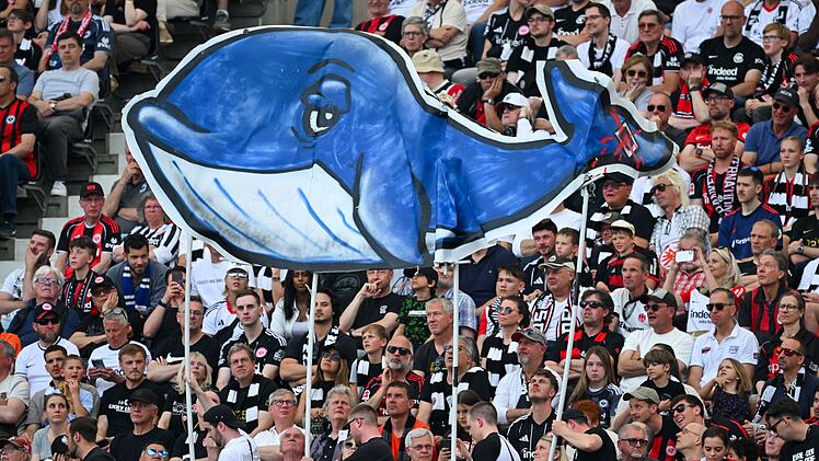 Eintracht Frankfurt - Hamburger SV