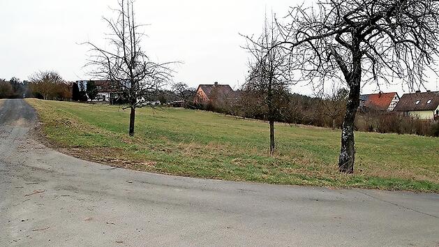 Auf dieser Wiese am westlichen Ortsrand von Gereuth sind vier Baupl&auml;tze m&ouml;glich.