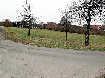Auf dieser Wiese am westlichen Ortsrand von Gereuth sind vier Bauplätze möglich.