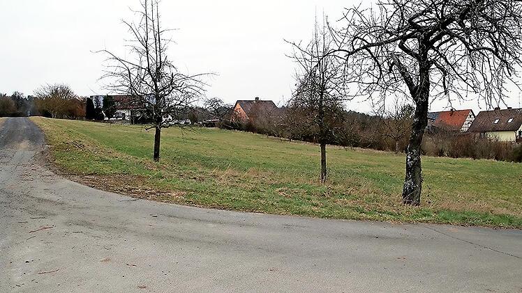 Auf dieser Wiese am westlichen Ortsrand von Gereuth sind vier Bauplätze möglich.