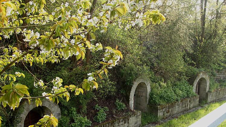In der schönen Kellergasse findet alljährlich ein Ortsfest statt. Günther Geiling