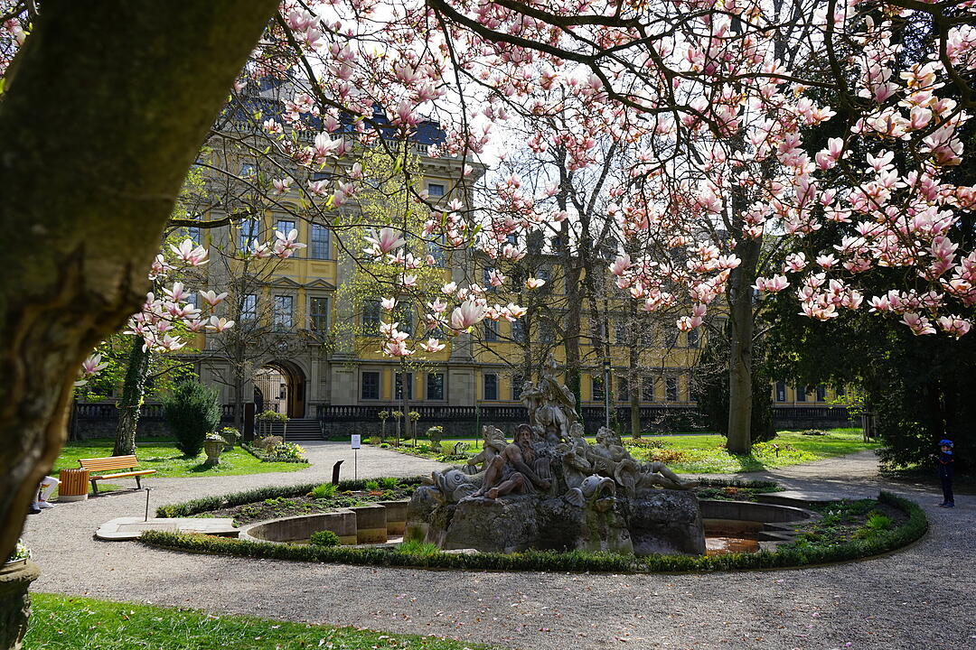Blühendes Würzburg