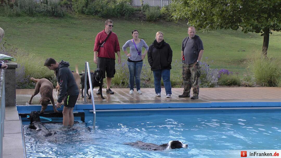 Hundebadetag im Freibad Eltmann